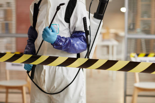 Professional Sewage Cleanup technician working in Englewood, CO